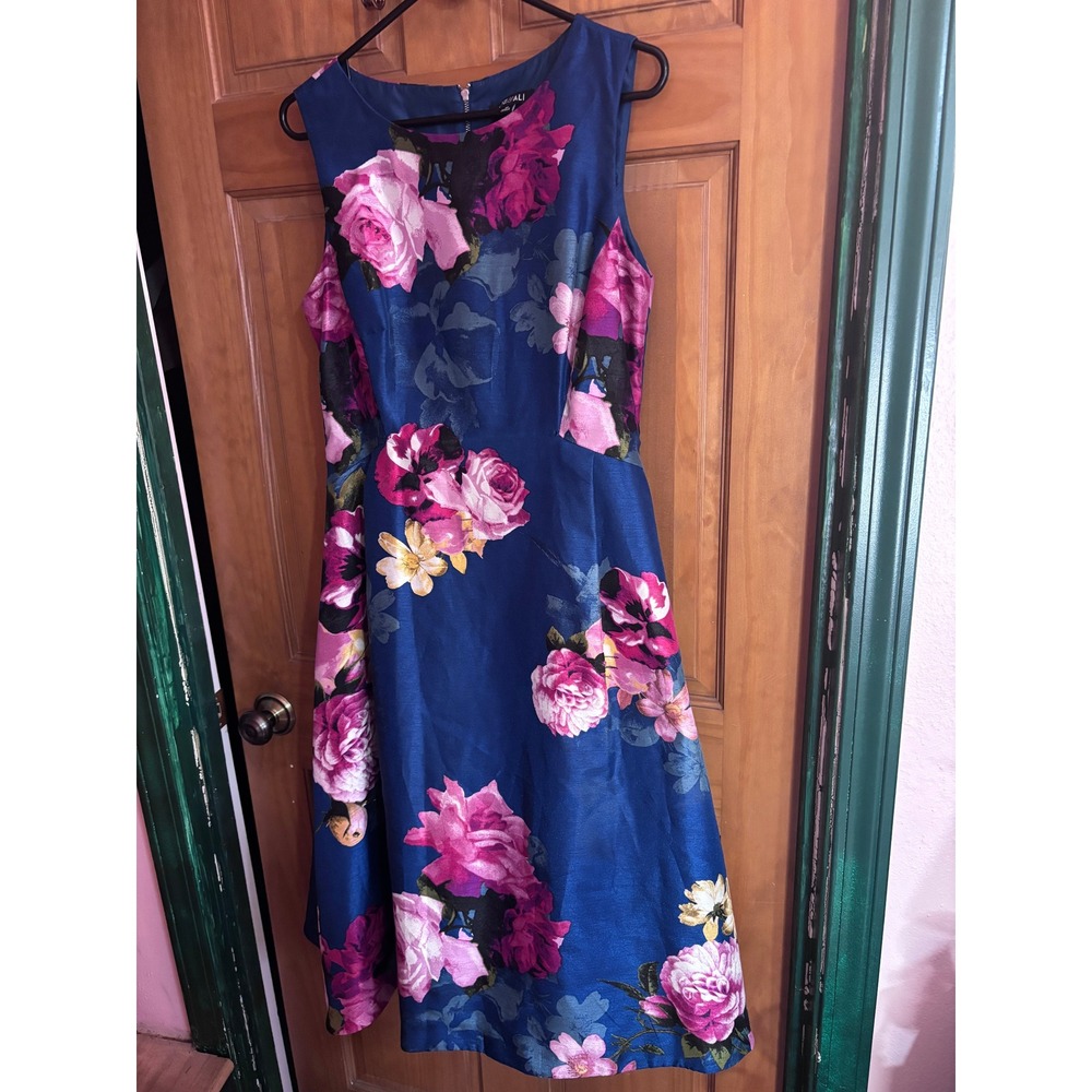 Roz & Ali Blue Pink Floral Sleeveless Fit and Flare Dress Size 12 Fully Lined